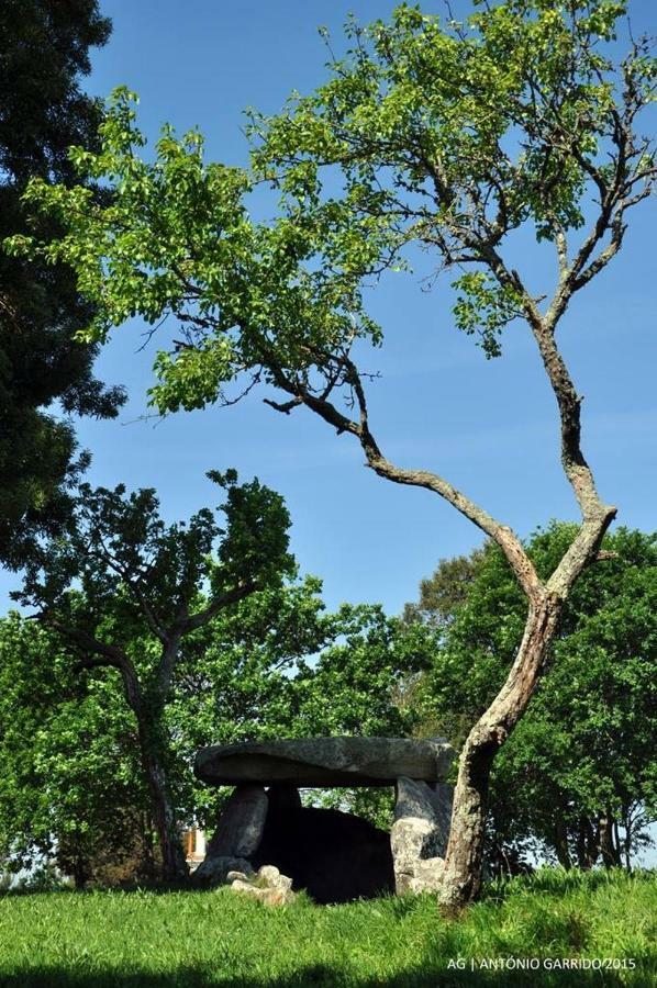 Angelas - Casa Do Coberto วีลาปรายา เด อันโกรา ภายนอก รูปภาพ